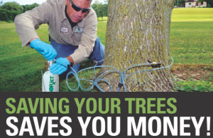 save trees save money eab ho handout