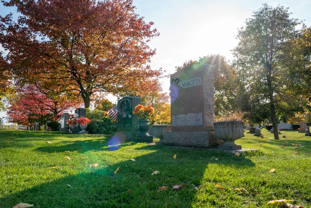 The Oldest Trees in Buffalo Cemeteries —And Why They Matter